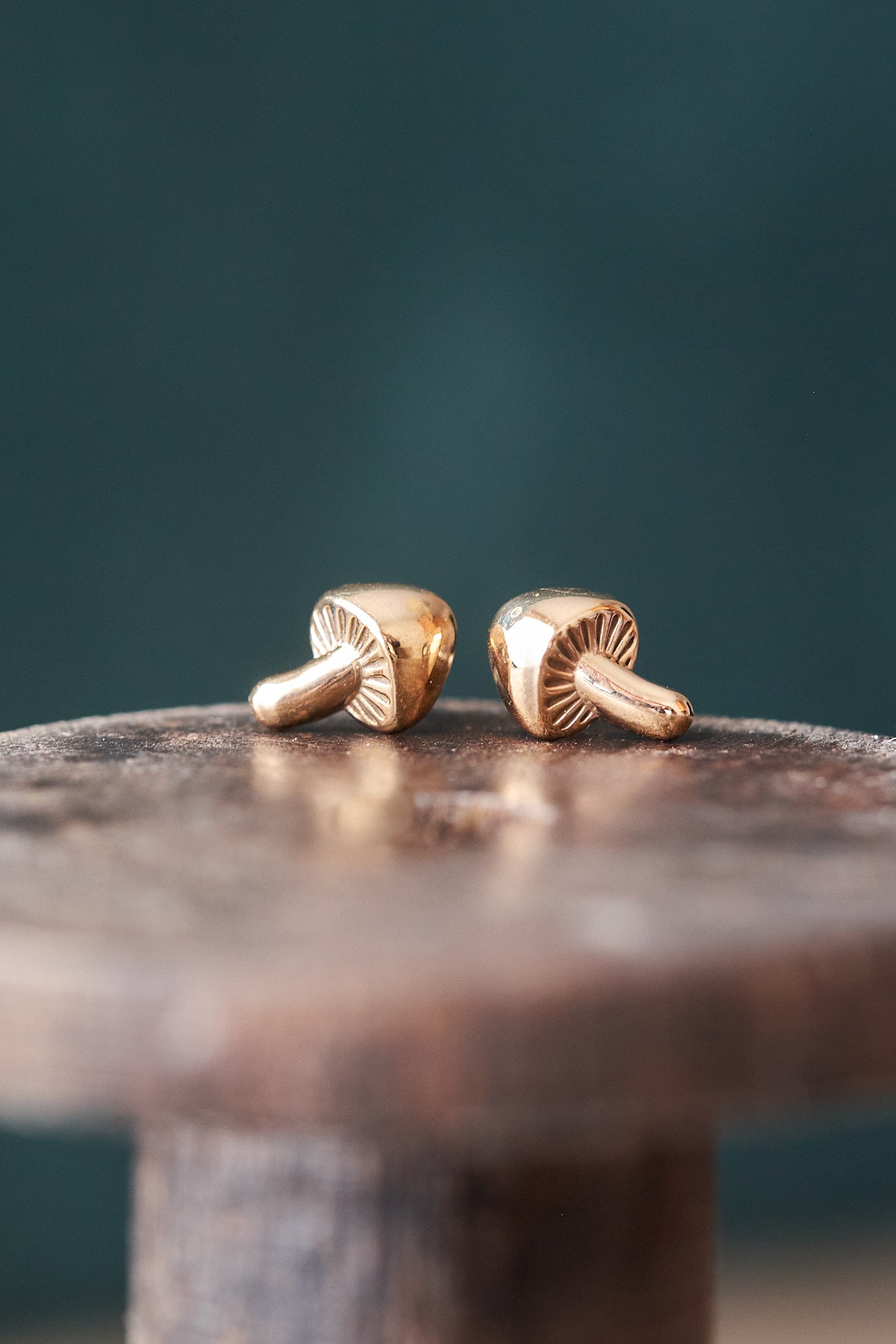 Forager Tiny Single Mushroom Stud Earrings Bronze or Silver