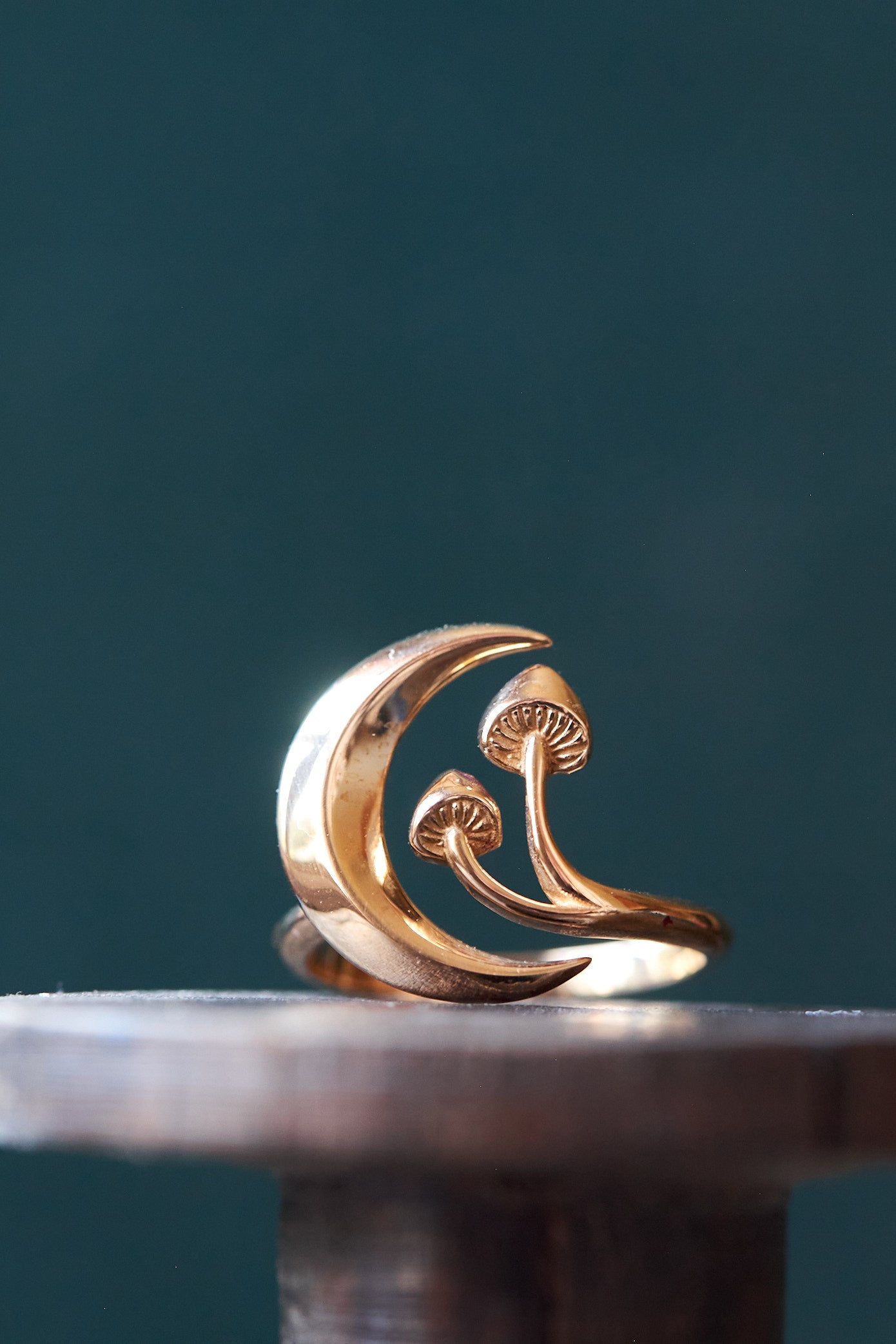 Forager Moon & Mushroom Bronze Ring