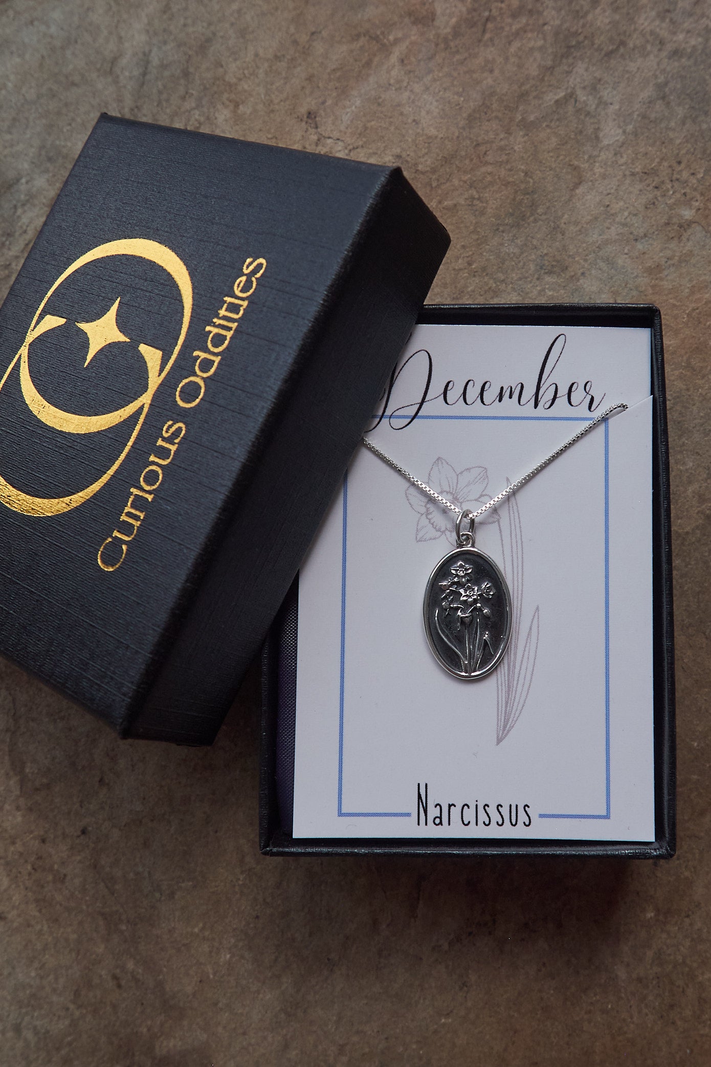 Silver necklace with an oval pendant on a card, next to a 'Curious Oddities' box on a textured surface.