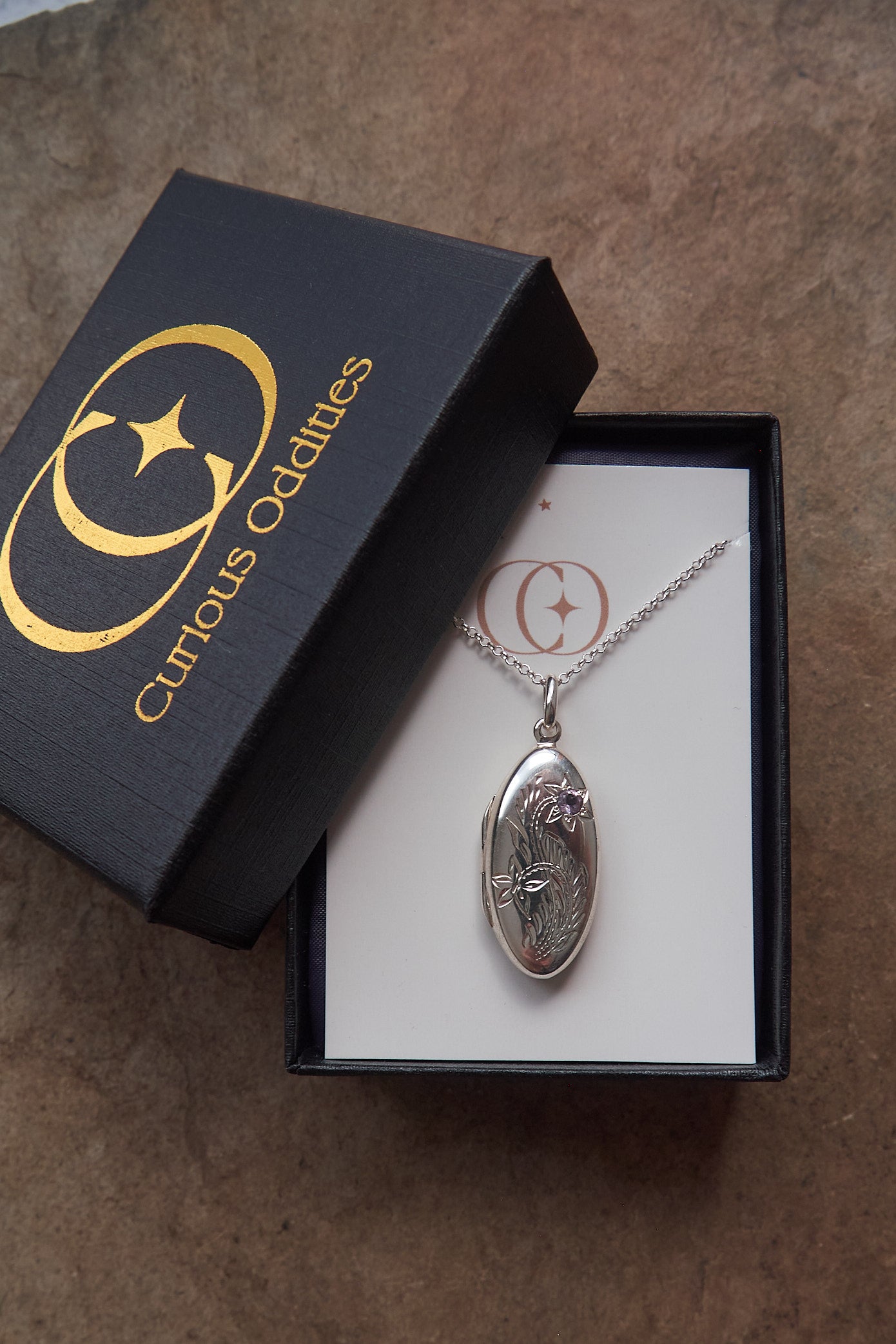 Silver necklace with locket pendant in a 'Curious Oddities' box on a brown surface