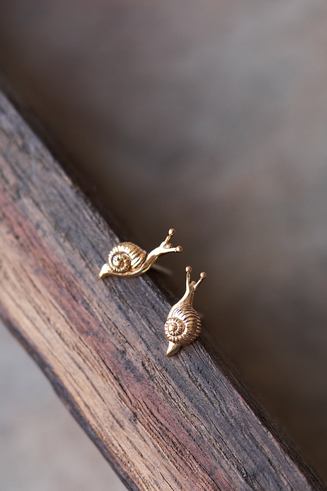 Cute Tiny Snail Stud Earrings