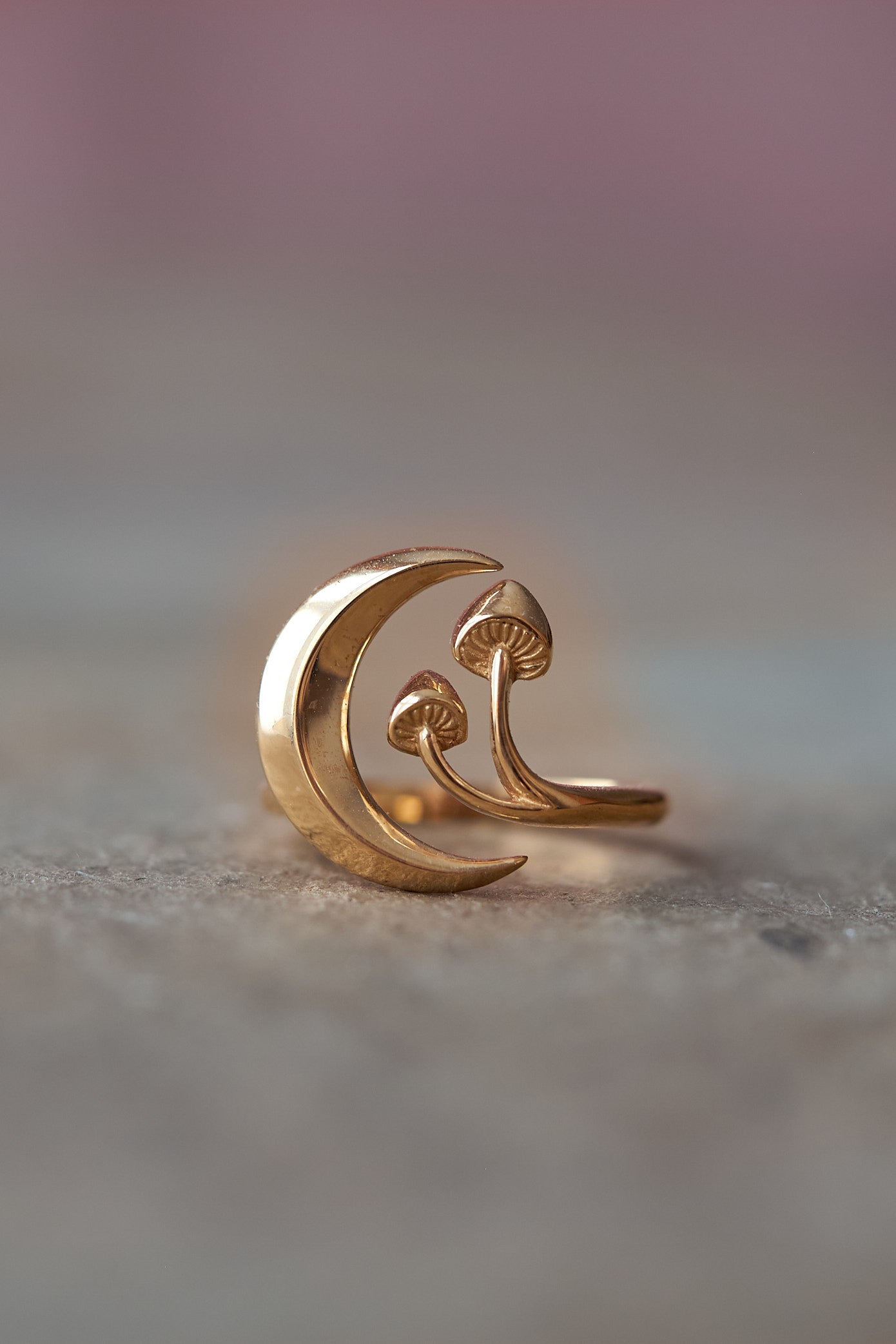 Forager Moon & Mushroom Bronze Ring