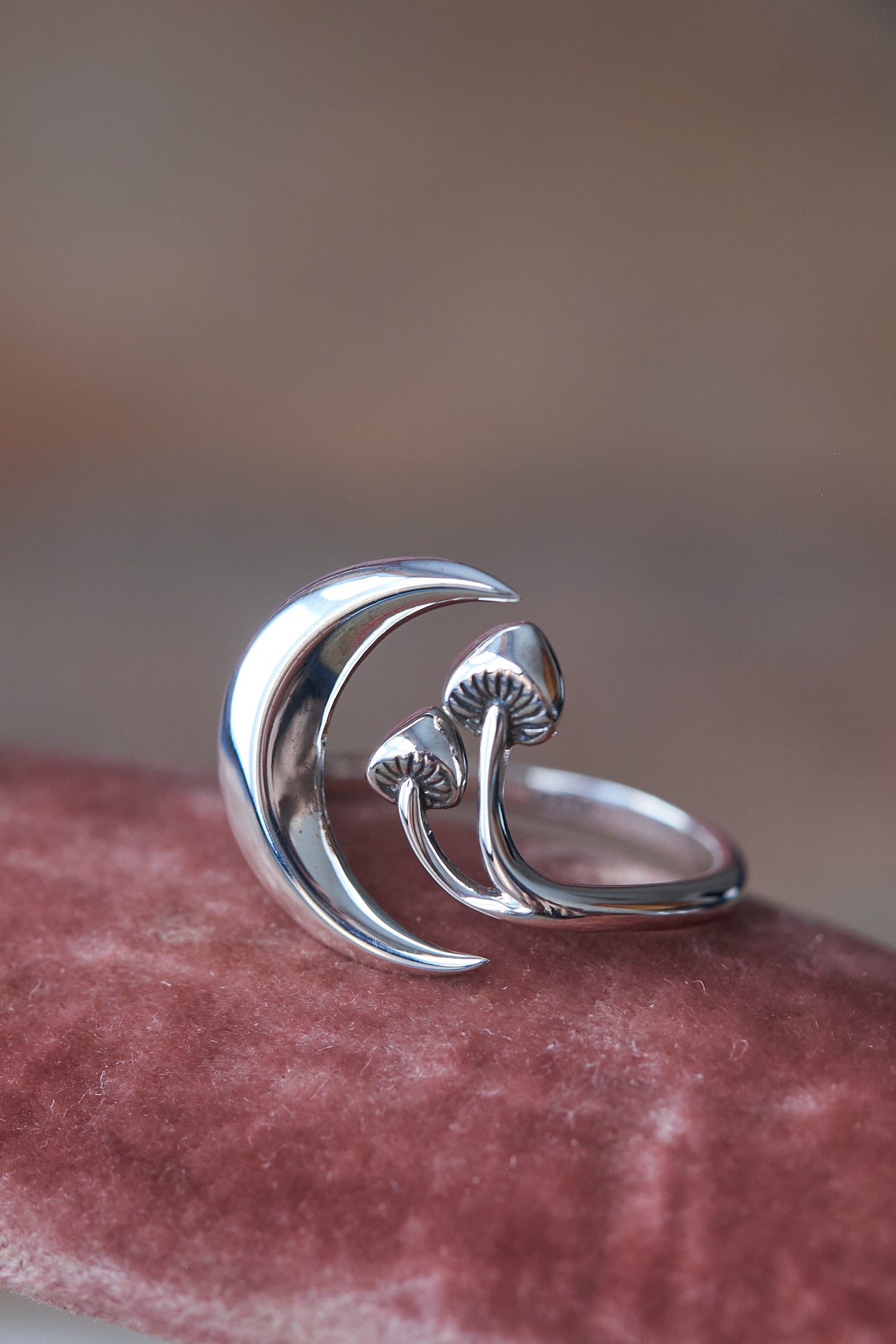 Forager Moon & Mushroom Silver Ring