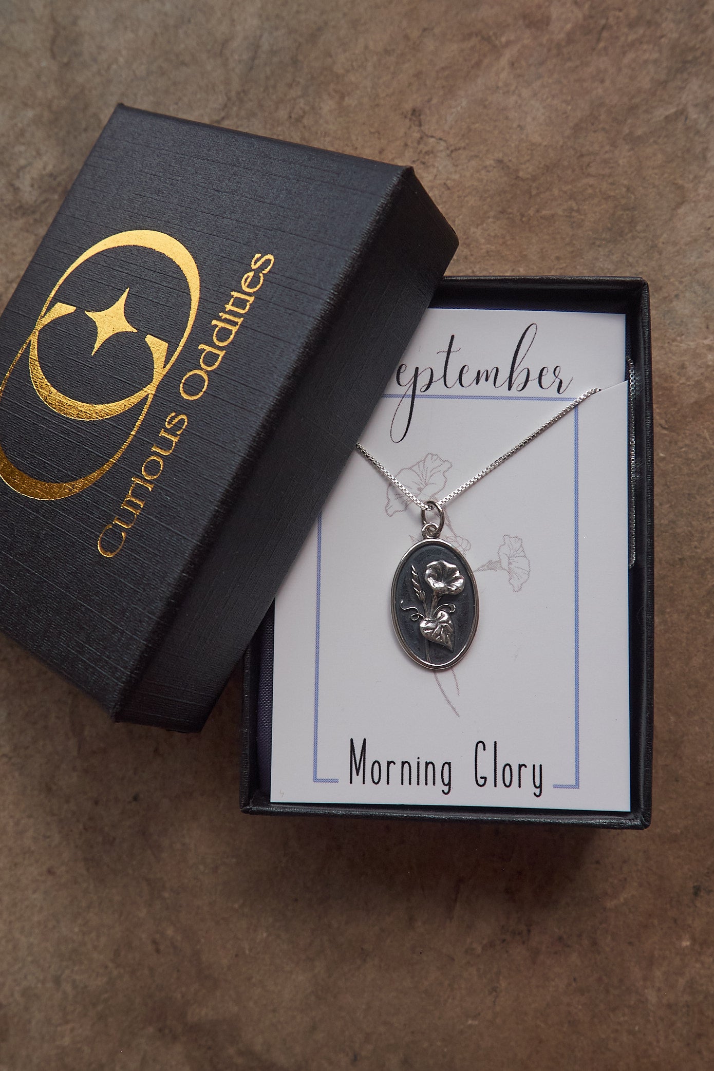 Necklace with pendant on a card inside a Curious Oddities box on a brown slate surface