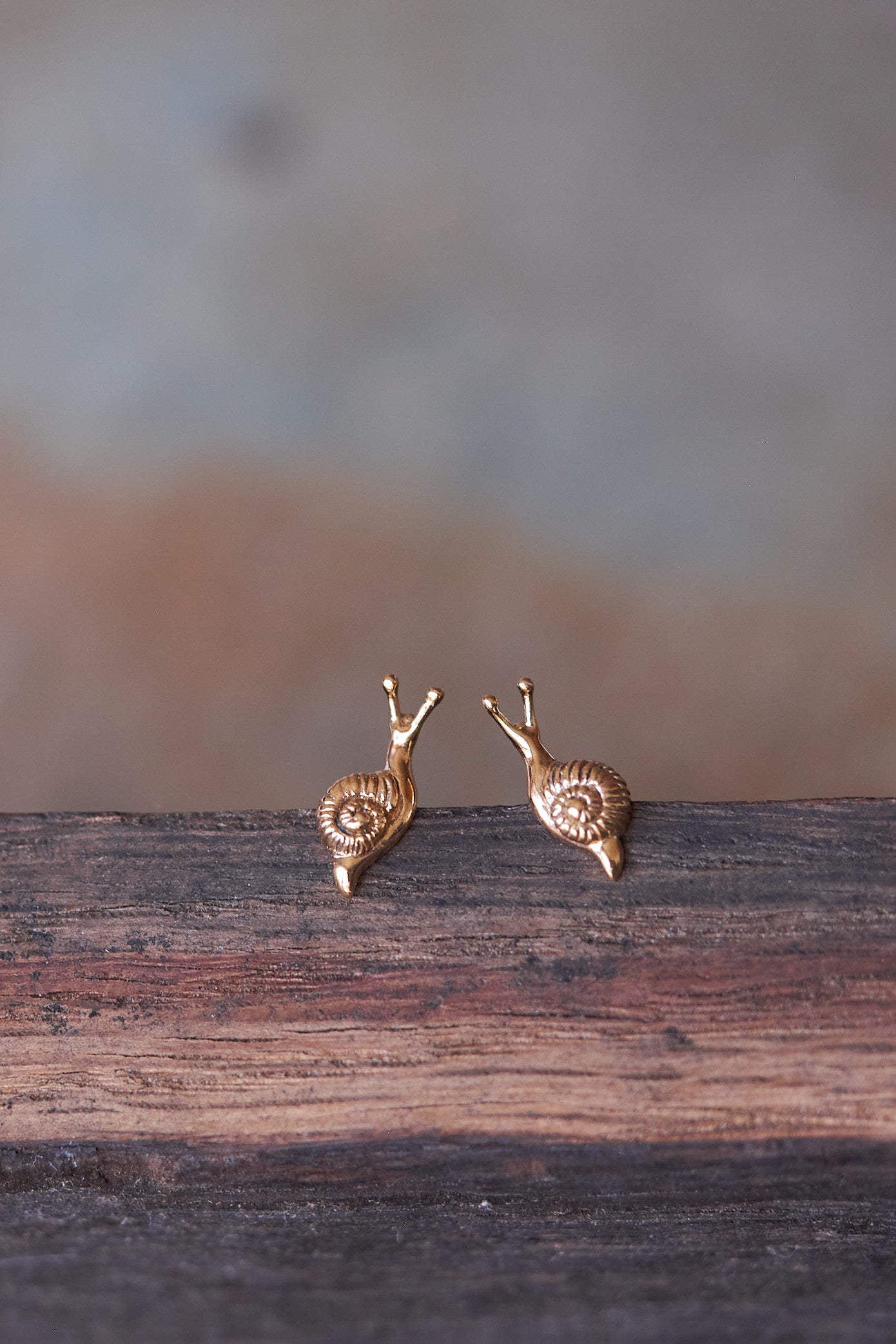 Cute Tiny Snail Stud Earrings